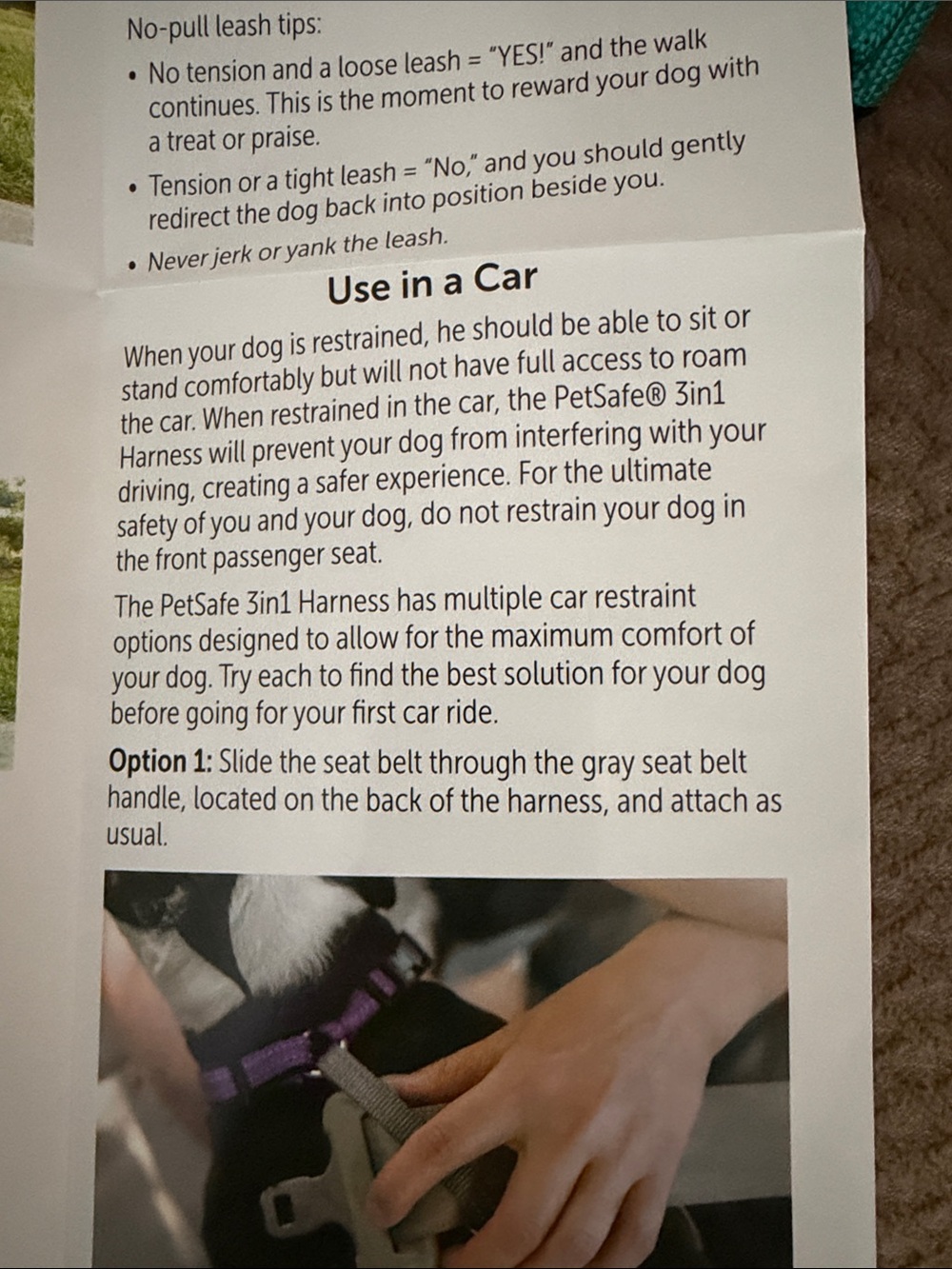 PetSafe Teal 3-in-1 Dog Harness - Medium - Picture 7 of 8